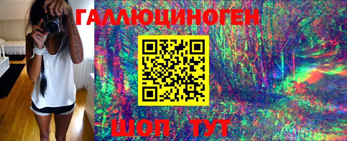 Псилоцибиновые грибы GOLDEN TEACHER  Вход с VPN  Ярославль  даркнет сайт  Галлюциногенные грибы Psilocybine cubensis 