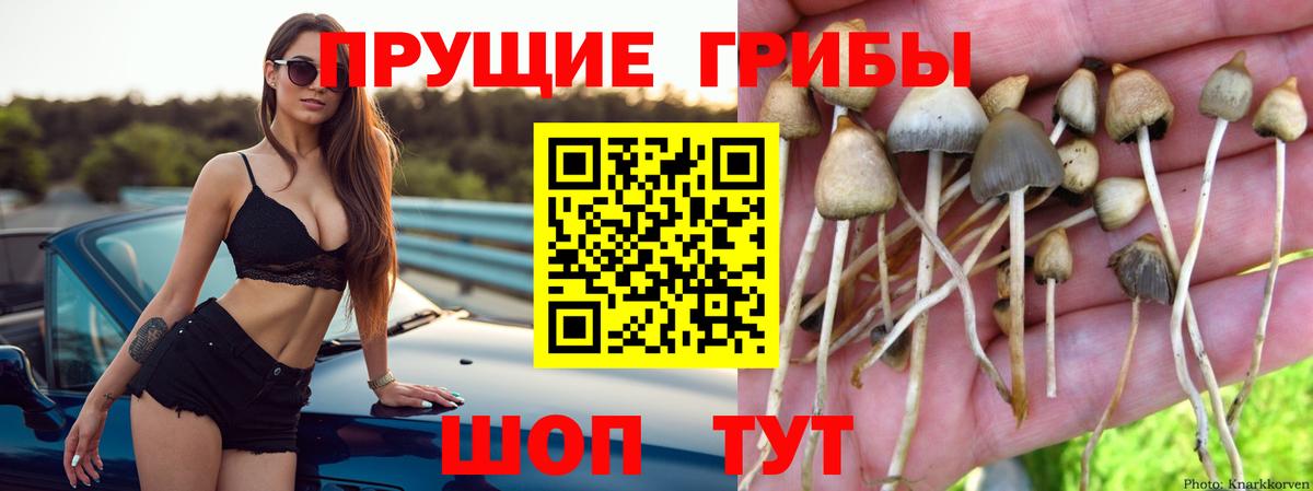 Галлюциногенные грибы Magic Shrooms Ярославль